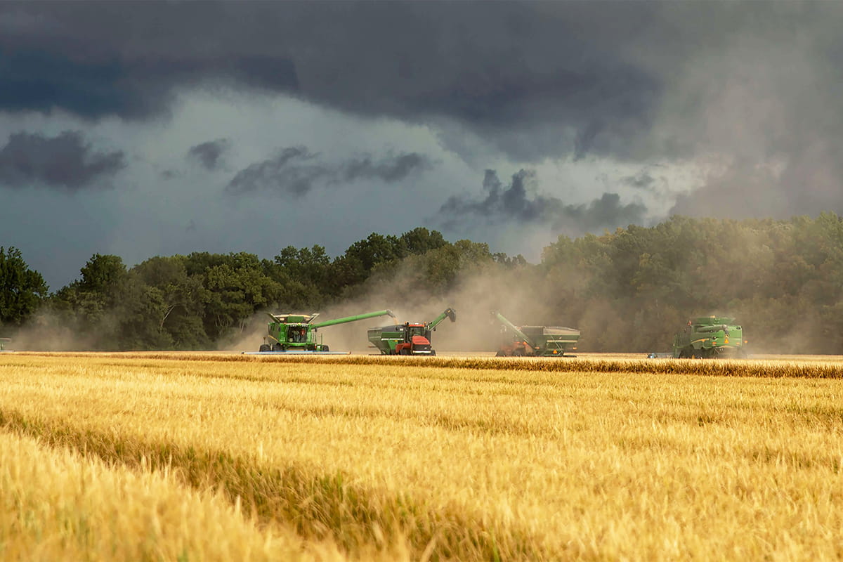 Bans on pesticides fly in the face of science